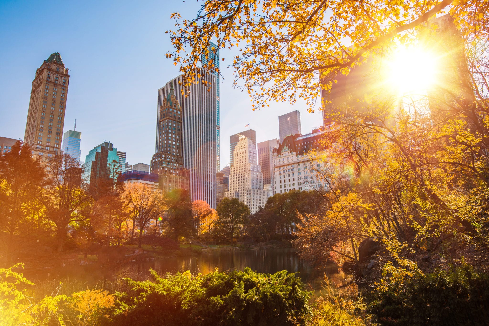 New York Central Park, United States of America. Sunny New York City.