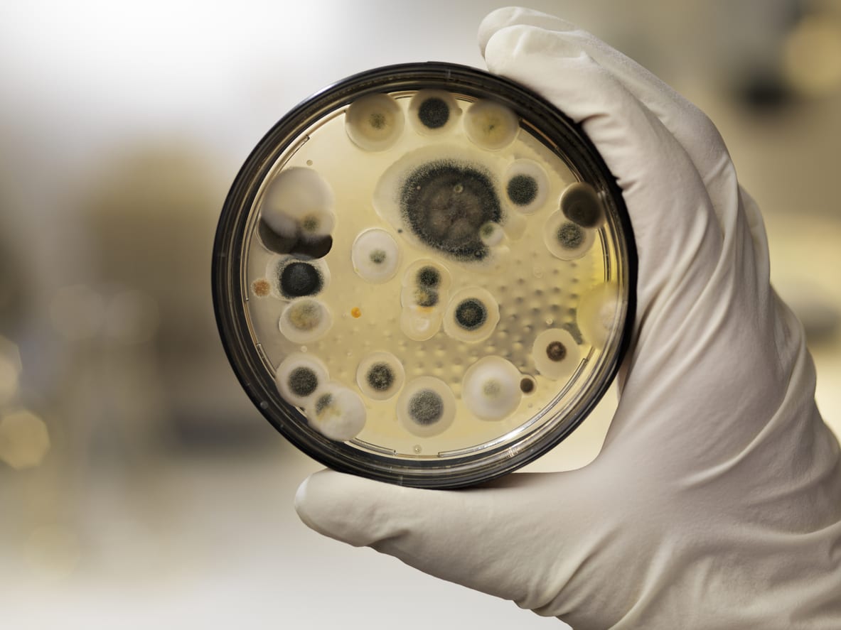 Common cause of mold in the home