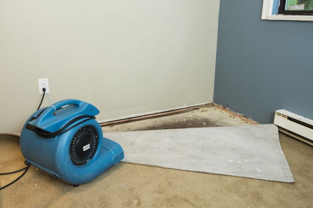 blue fan water mitigation