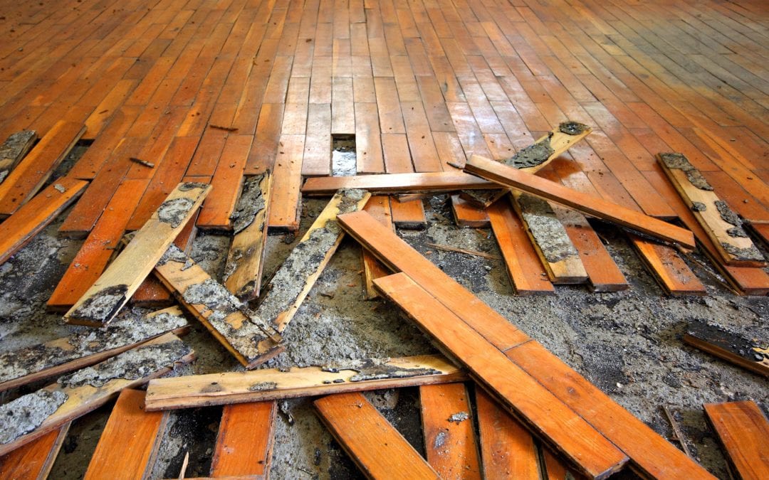 water damaged hardwood floors NYC Apartment