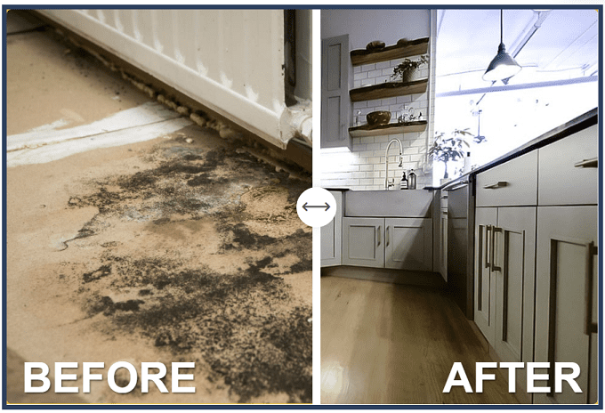 Mold Matters: Why Quick Remediation is Crucial in NYC