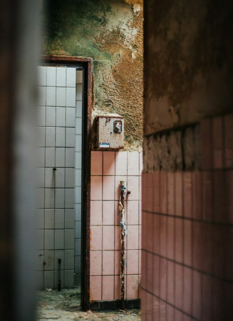 mold in a house
