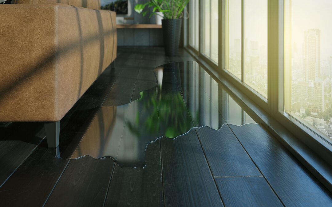 How to Check for Water Damage in Your Apartment