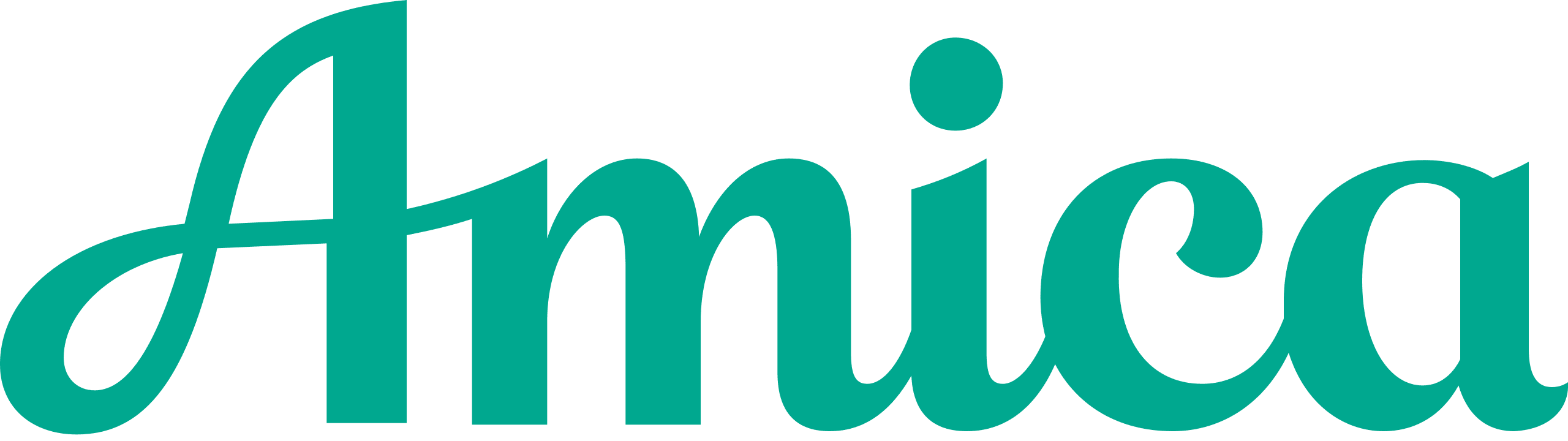 Amica Insurance Overview