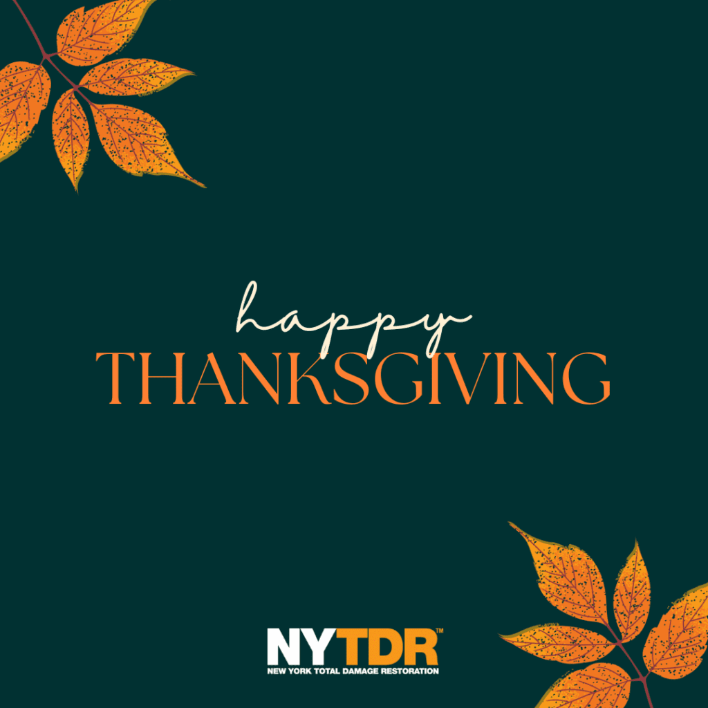 Happy Thanksgiving from NYTDR