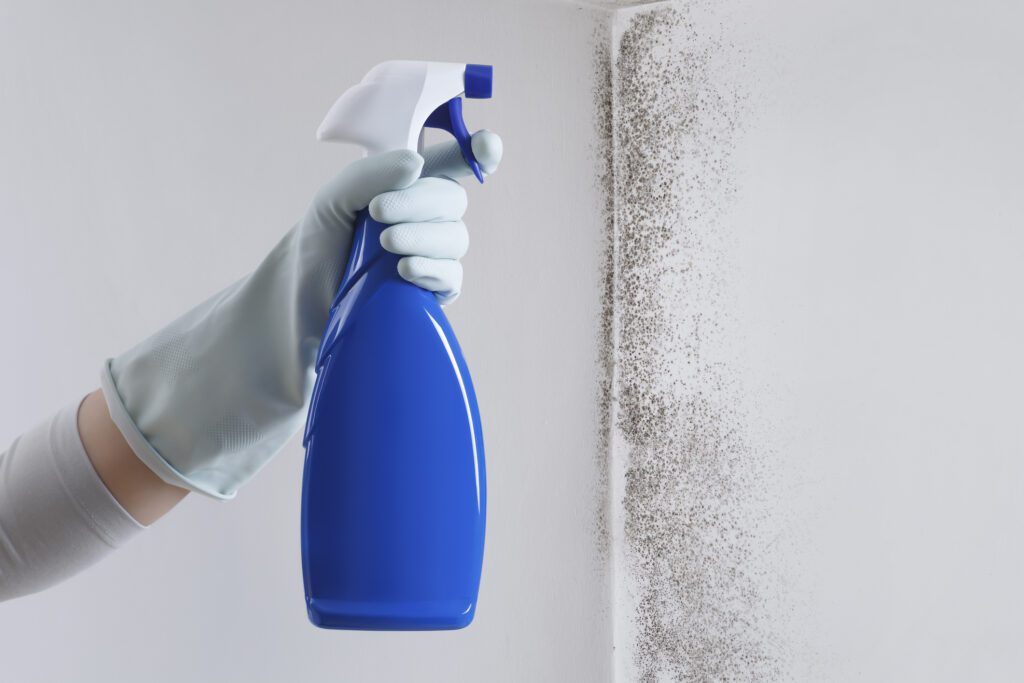 The image shows a gloved hand holding a spray bottle, likely filled with a cleaning solution, aimed at a corner of a wall that has visible mold growth. The person is presumably in the process of cleaning or treating the mold-affected area. This visual emphasizes the importance of addressing mold issues promptly to prevent further spread and maintain a healthy living environment
