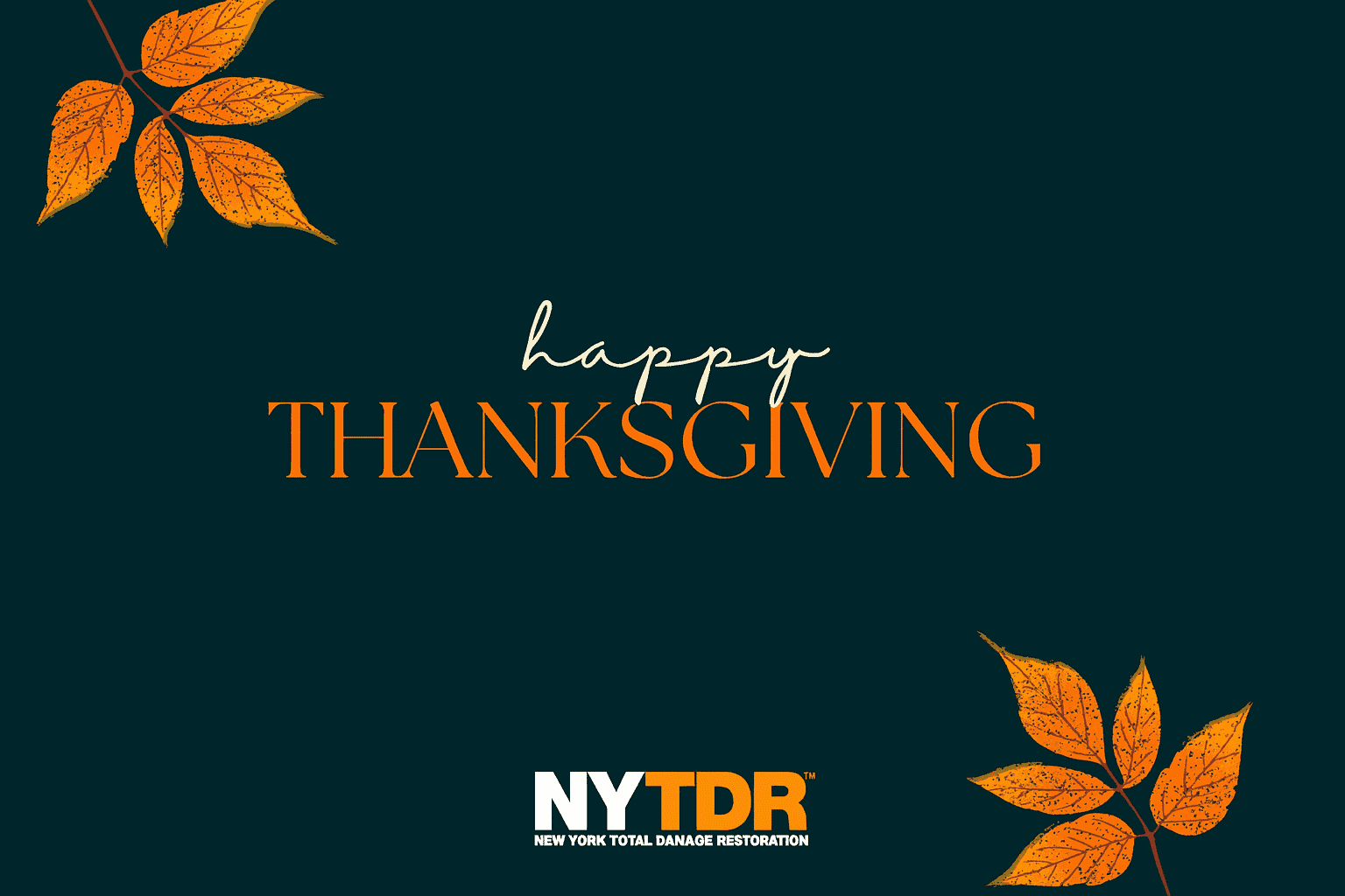 A Fire-Safe Thanksgiving: A Special Message from NYTDR